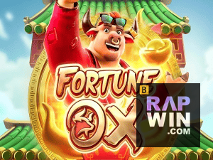 RAPWIN login — painel de entrada no app oficial