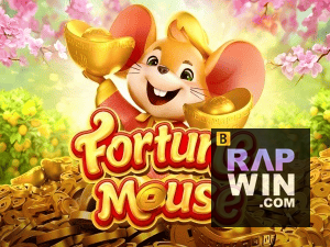 RAPWIN login — configurações de segurança e proteção de conta